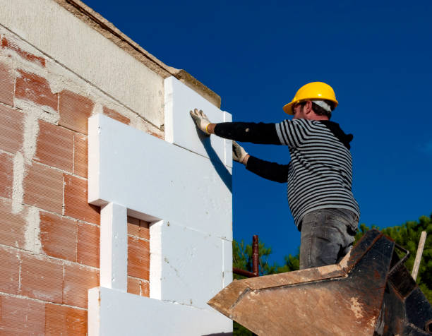 Best Geographic-Specific Insulation Services in Albertville, MN
