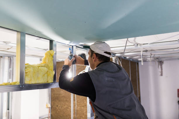 Best Commercial Insulation in Albertville, MN